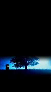 blue box, doctor who, tardis, wer