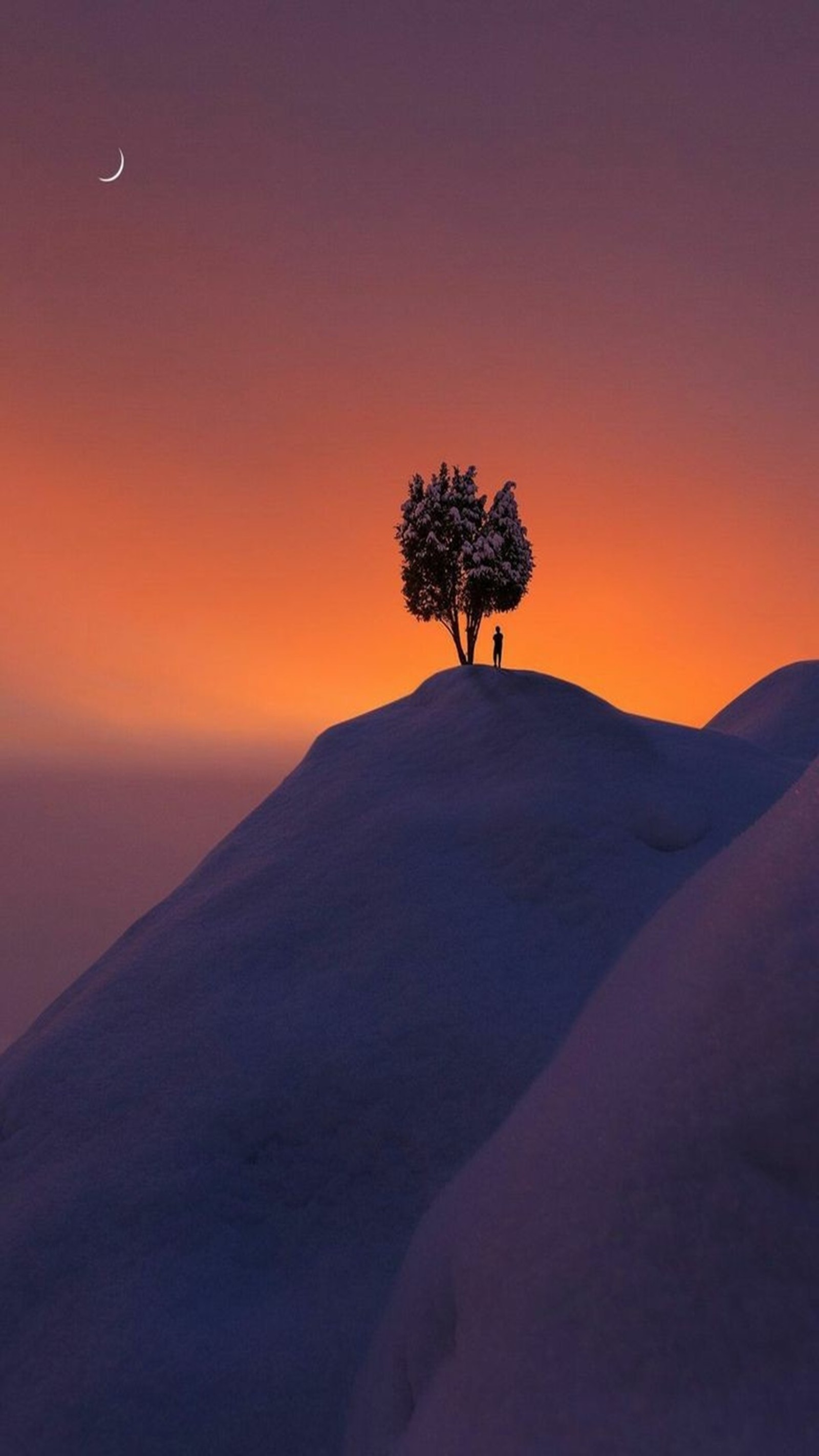 Arafed tree on a snowy hill with a crescent moon in the sky (alone tree, nature)