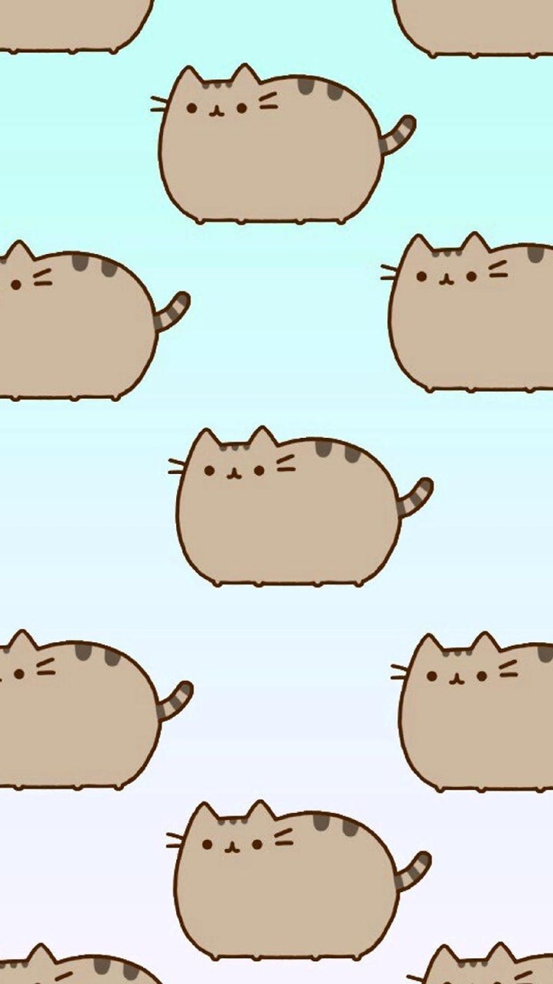 Крупный план группы котов с разными выражениями. (кот, пушин, pusheen)