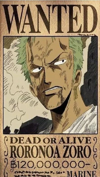 anime, one piece, procurado, zoro