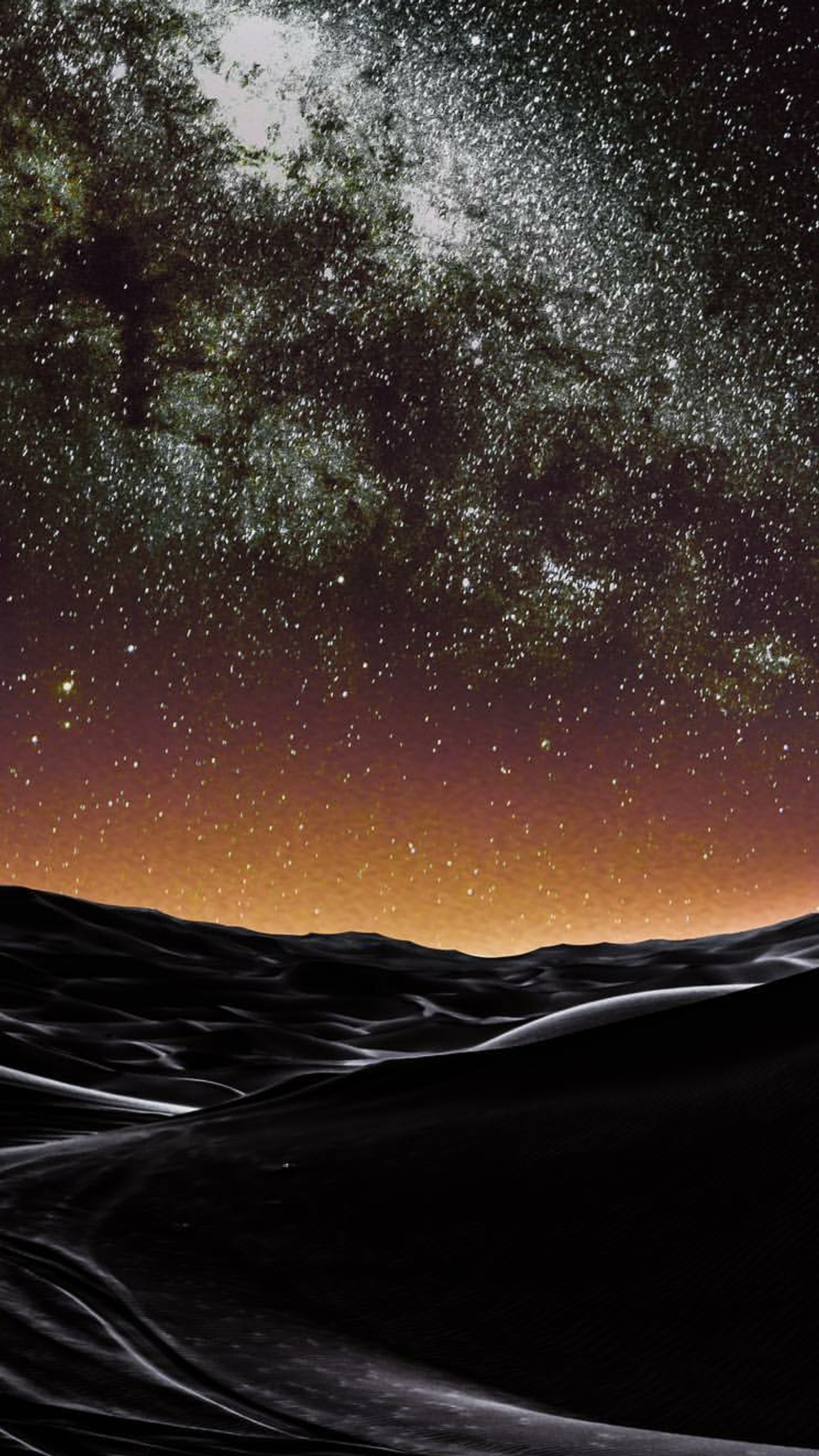 Cielo nocturno estrellado con un árbol solitario en primer plano (paisaje, naturaleza, estrellas)