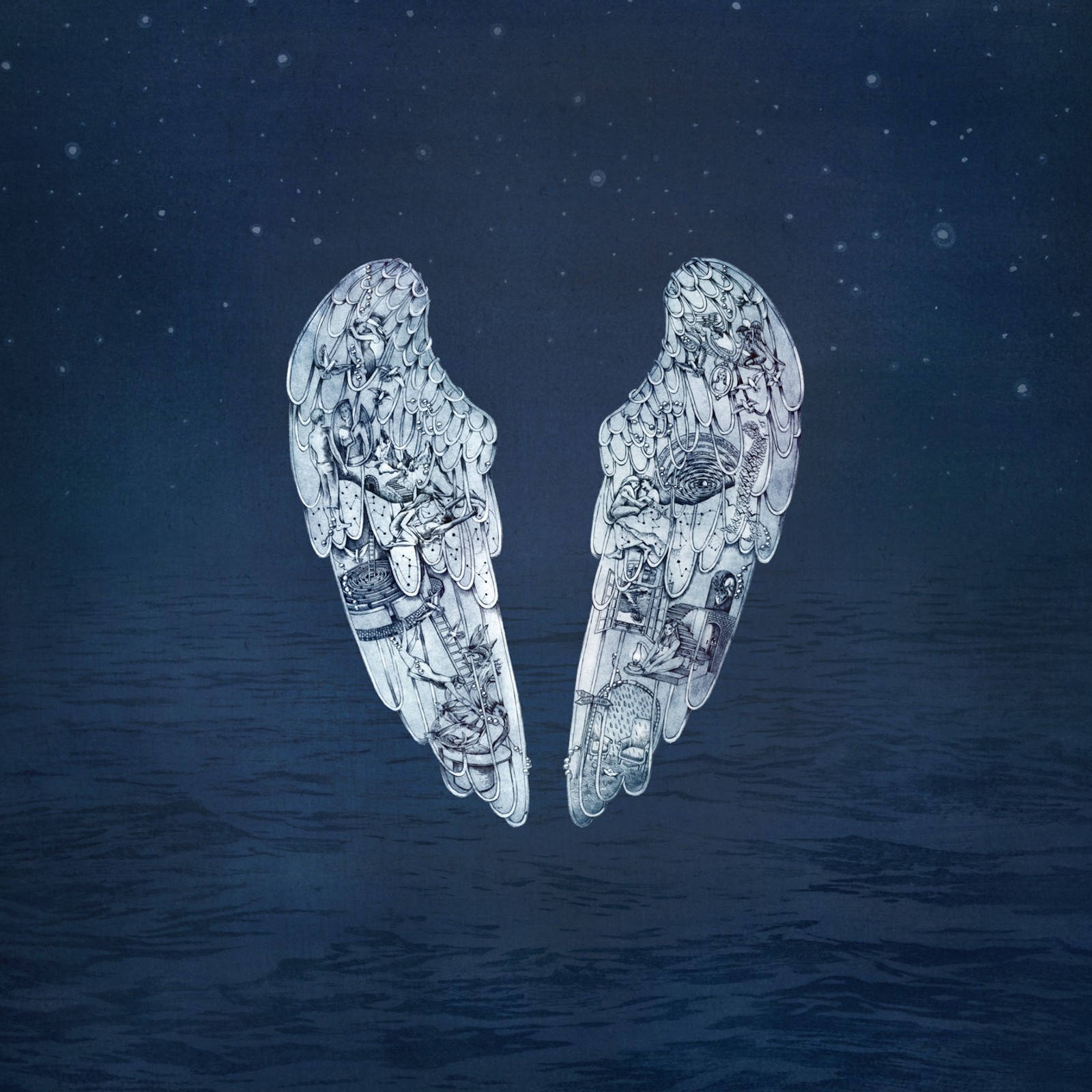 Wings floating in the water at night with stars in the sky (blue, coldplay, frozen, music, sea)