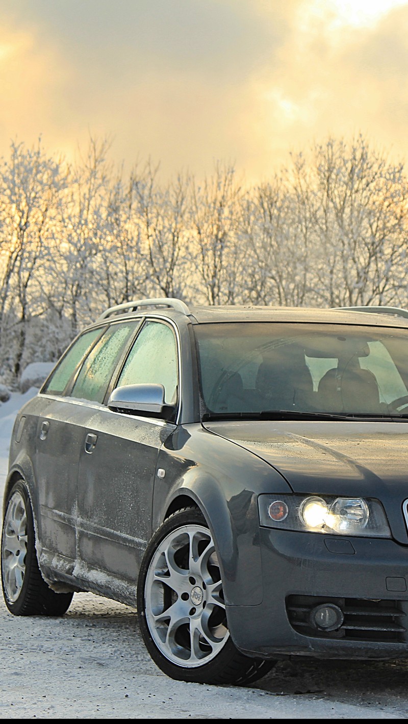 Арафедный автомобиль, припаркованный в снегу с деревьями на фоне (audi, s4)