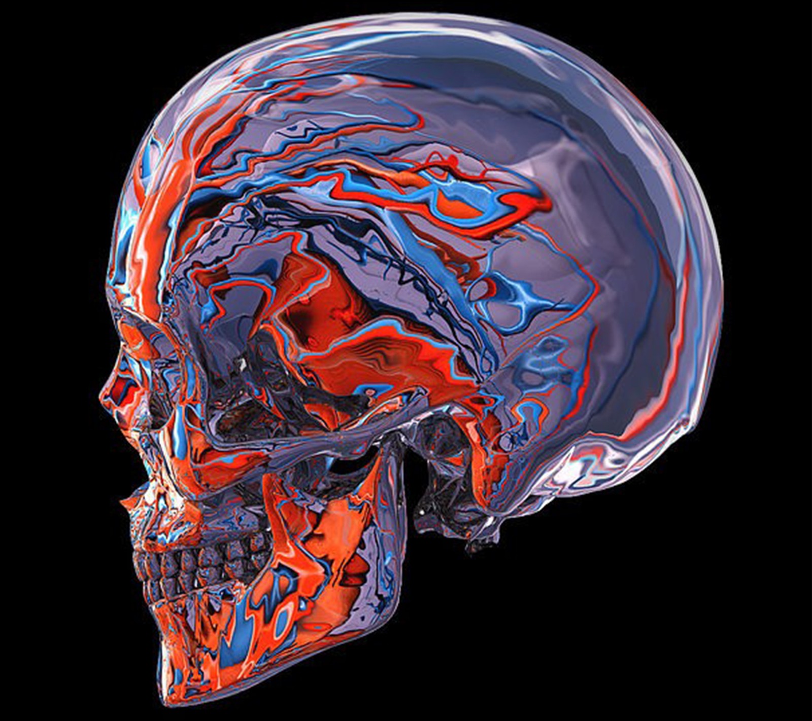 A close up of a human skull with a red and blue design (abstract, art, chemical, desing, skull)