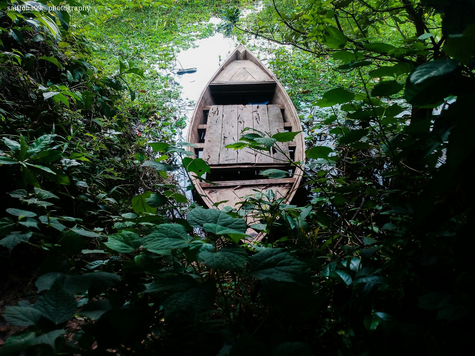 Il y a un bateau au milieu des bois (barns, cottage, fleurs, forêt, maison)