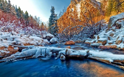 Arroyo invernal tranquilo en medio de la naturaleza cubierta de nieve