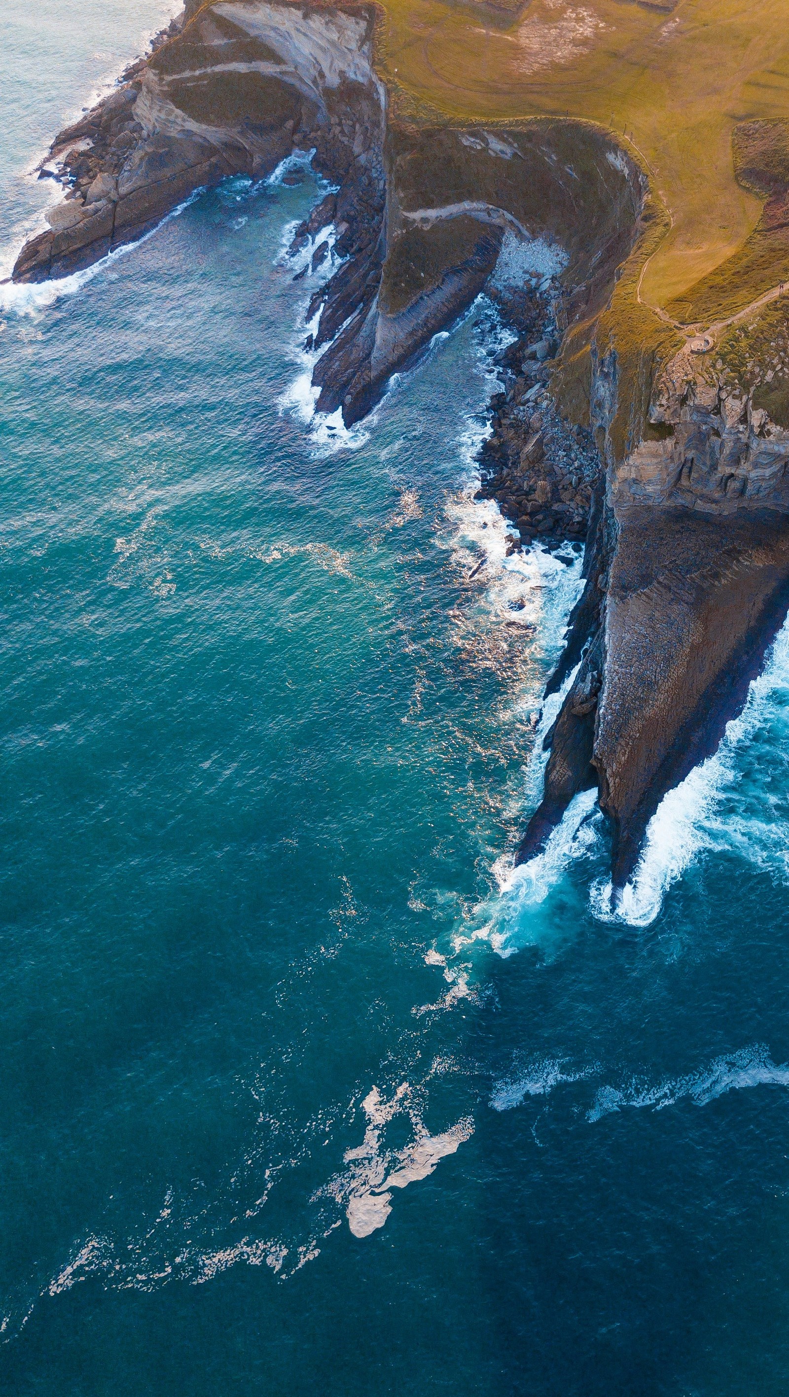 Araffe flying over a rocky cliff with a body of water (beach, beaches, landscape, landscapes, one)