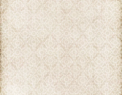 Beige Lace Pattern for Wedding Dresses