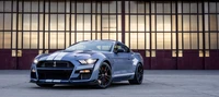 ford mustang shelby gt500, heritage edition, 2022, 5k, cars wallpaper