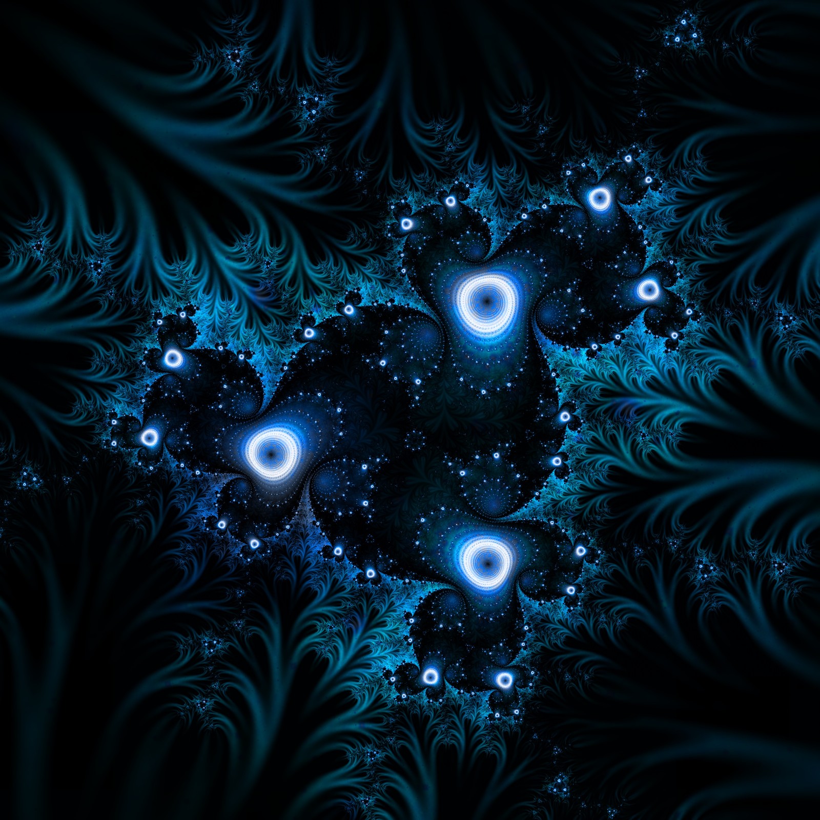 Un gros plan d'une image générée par ordinateur d'une fleur bleue et noire (graphiques, eau, ciel, art fractal, espace)