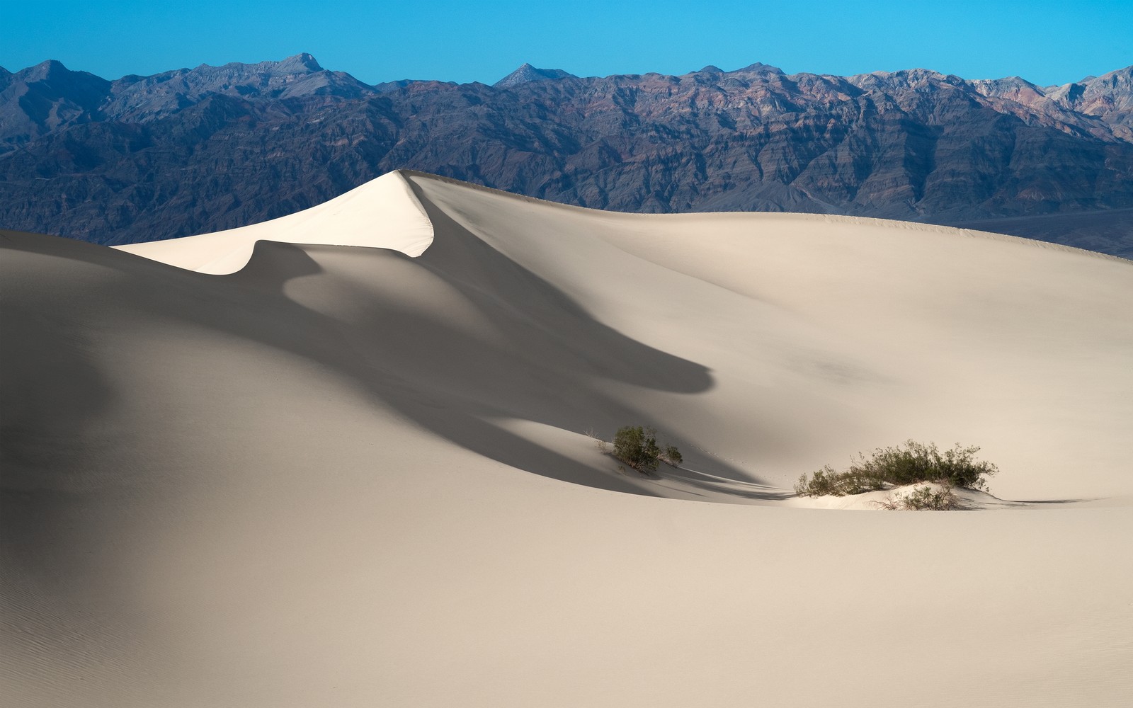 Dune de sable déformée dans le désert avec des montagnes en arrière-plan (mesquite flat sand dunes, parc national de la vallée de la mort, death valley national park, chaîne de montagnes, ciel bleu)