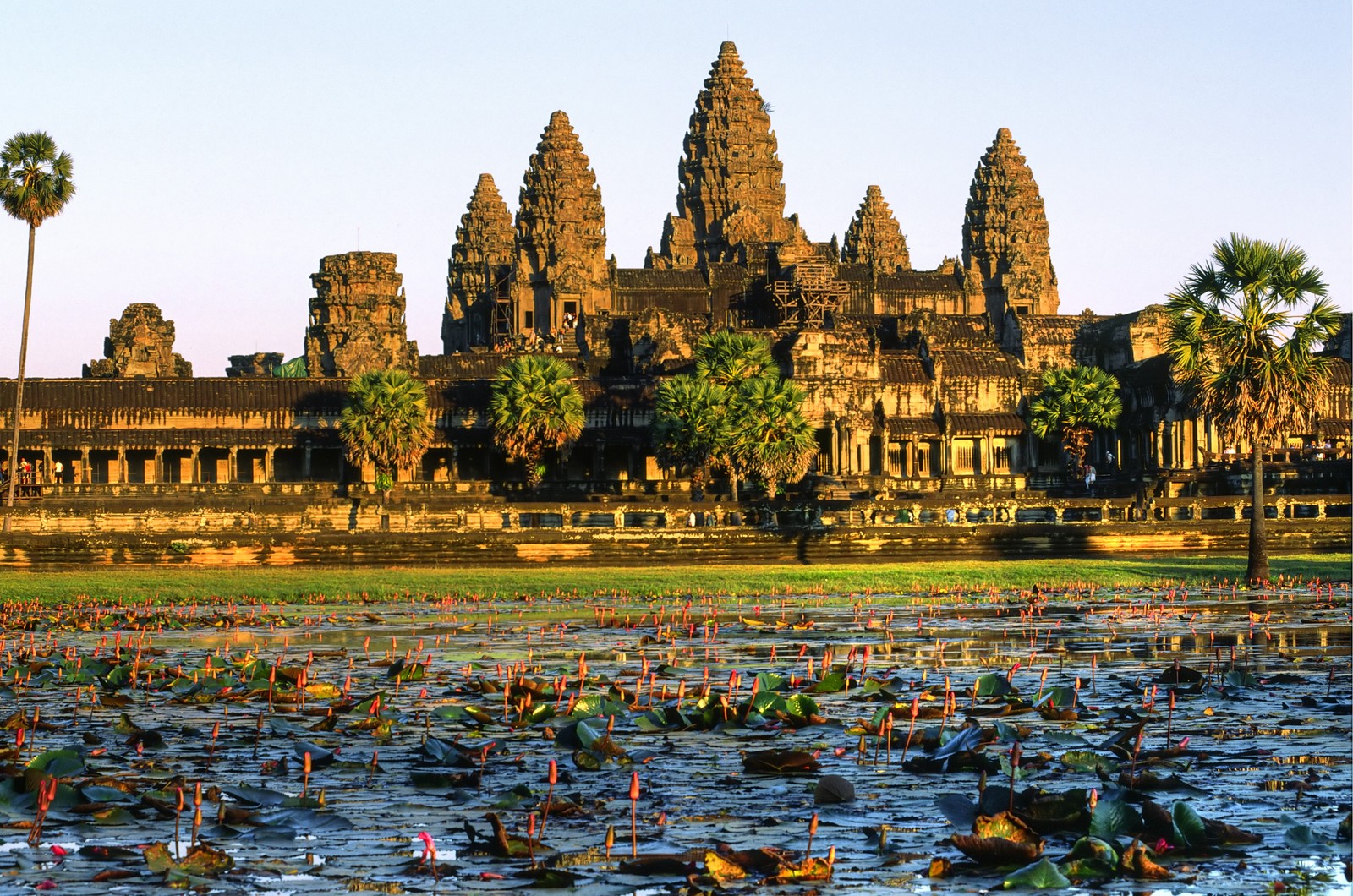 Arafed view of a large building with many spires and lotuses in the water (temple, reflection, historic site, place of worship, hindu temple)