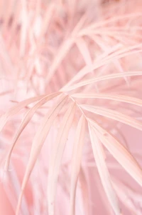 Feuilles rose pastel : Un gros plan sur une esthétique délicate