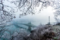 Paisaje helado del Puente de Cadenas Széchenyi y el Parlamento Húngaro en invierno