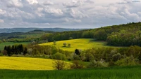 Lebendige grüne Hügel und Felder unter einem bewölkten Himmel