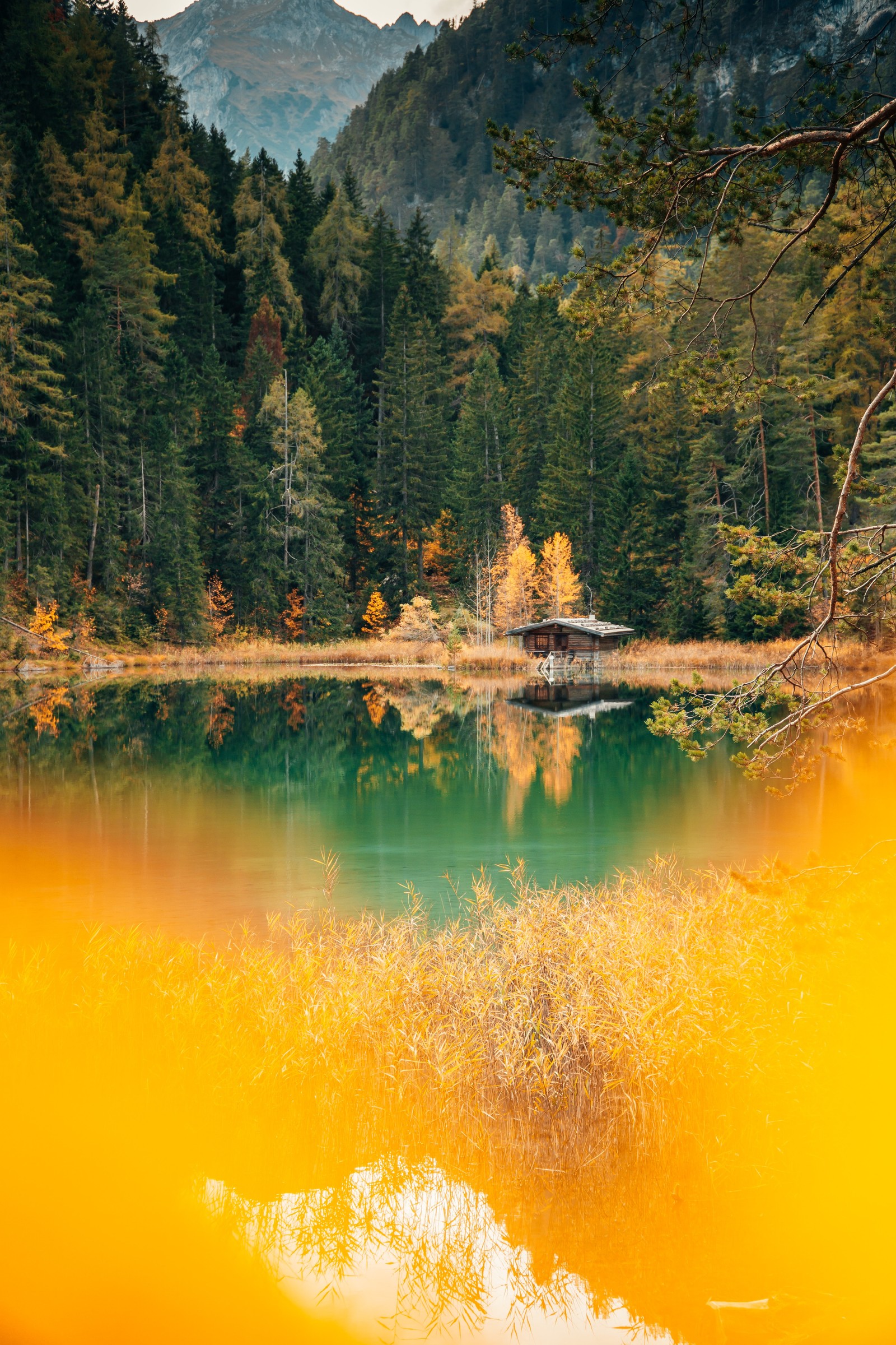 There is a small cabin in the middle of a lake surrounded by trees (lake house, forest, green trees, alpine trees, reflection)