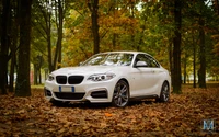 Élégant coupé BMW garé au milieu des feuilles d'automne, mettant en valeur un design épuré et des caractéristiques automobiles modernes.