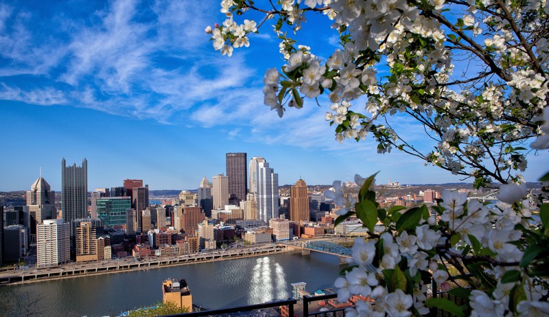 Uma vista panorâmica de uma cidade com um rio e uma ponte (pittsburgh, cidade, dia, paisagem urbana, área urbana)