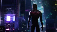 spider man, superhero, purple, standing, human wallpaper