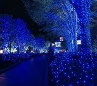 blau, weihnachten, natur, bäume