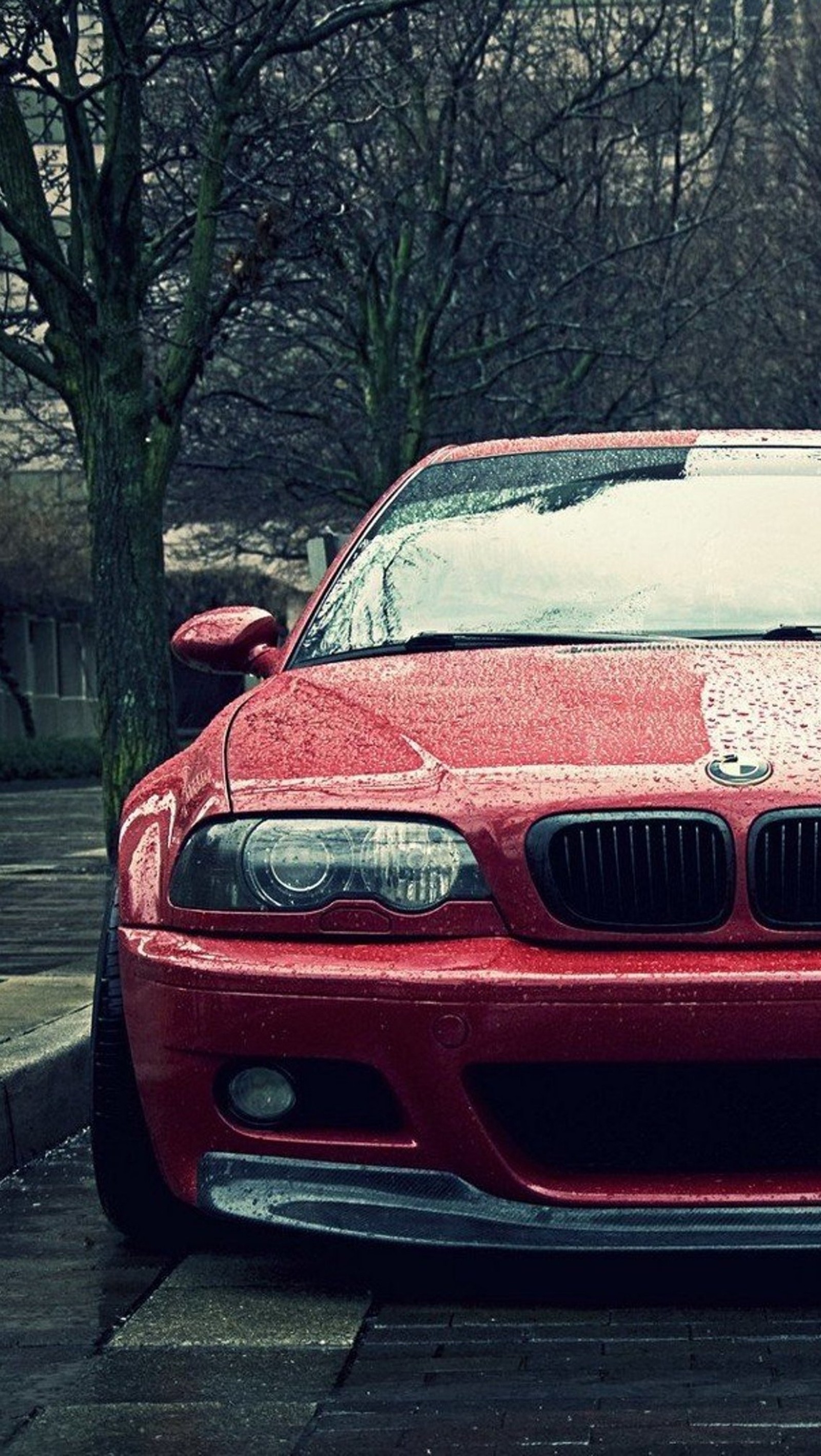 Un coche rojo árabe estacionado en una calle con árboles al fondo (bmw, coche, lluvia, rojo)