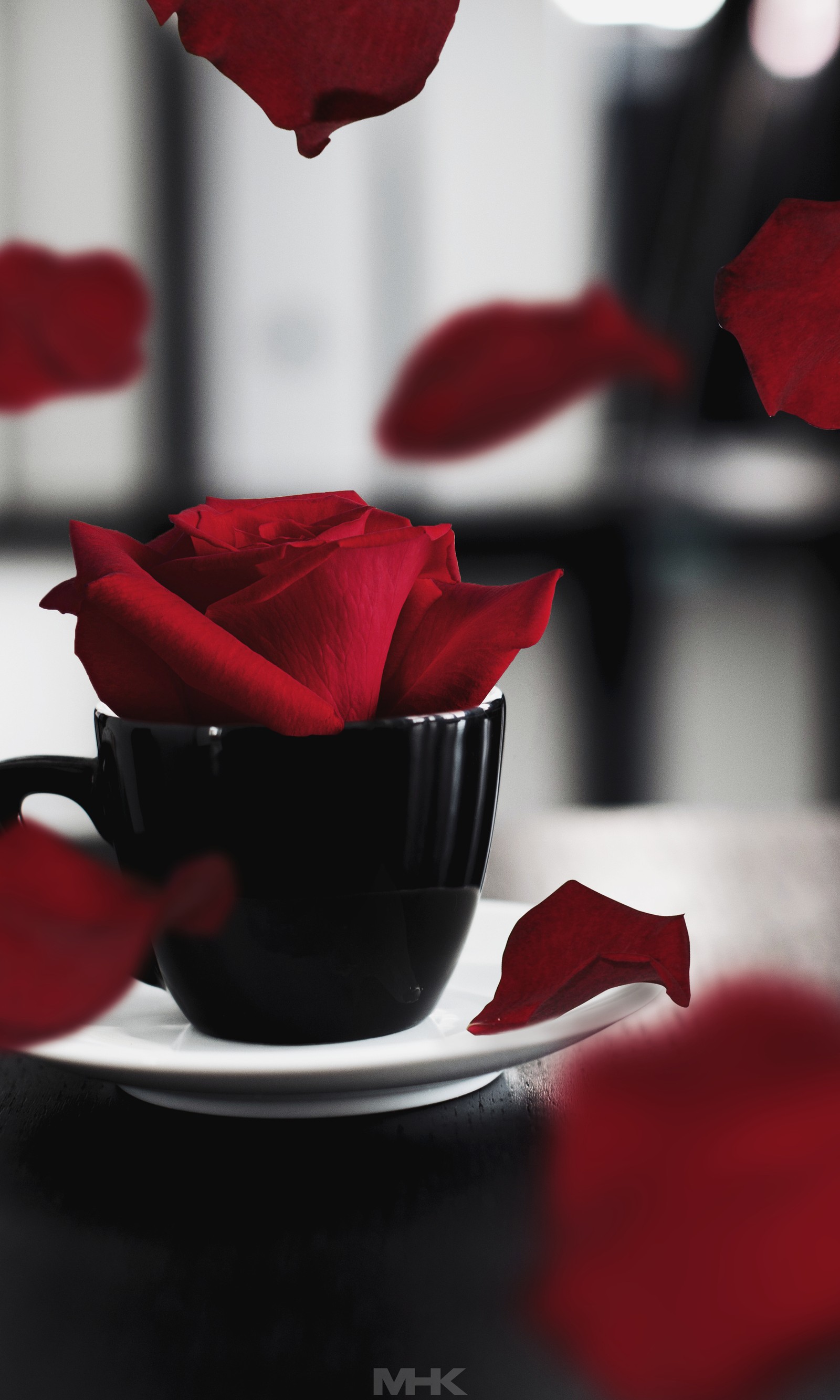 Schwarze tasse mit einer roten rose darin (schwarz, getränk, manipulation, rot, rose)