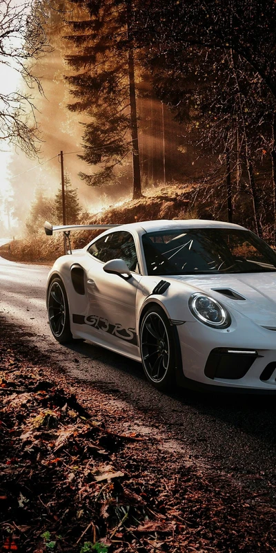 Porsche 911 GT3 RS: Um ícone de desempenho deslumbrante em meio à serenidade da natureza