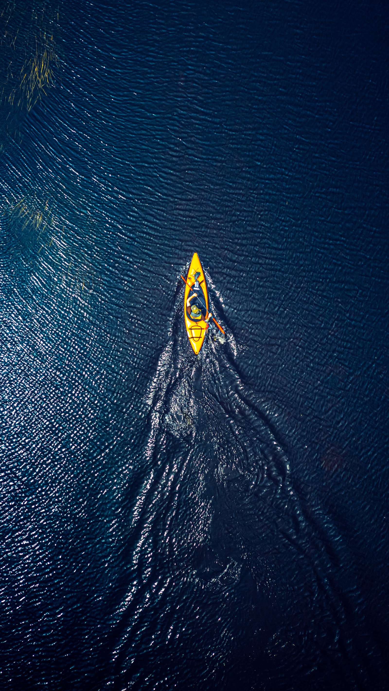 Kayakista en un kayak amarillo en medio de un cuerpo de agua (agua, lago, líquido, azul eléctrico, recreación)