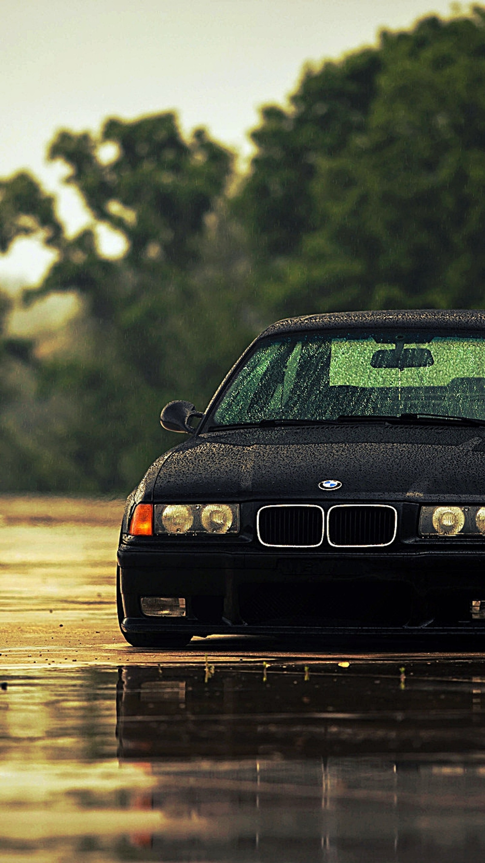 Arafed black car parked on wet road with trees in background (bmw, m3)