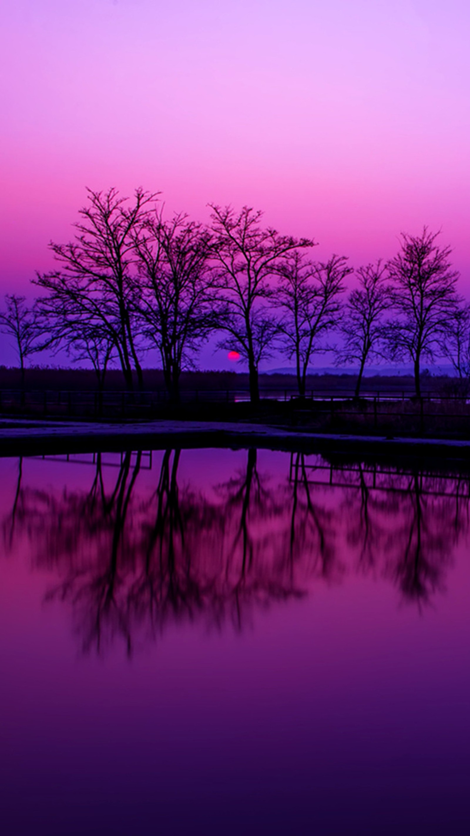 Purple and pink sky reflected in water with trees in foreground (beach, dreamland, sunset, tropical)