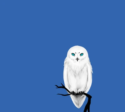 White Owl Perched Against a Blue Sky