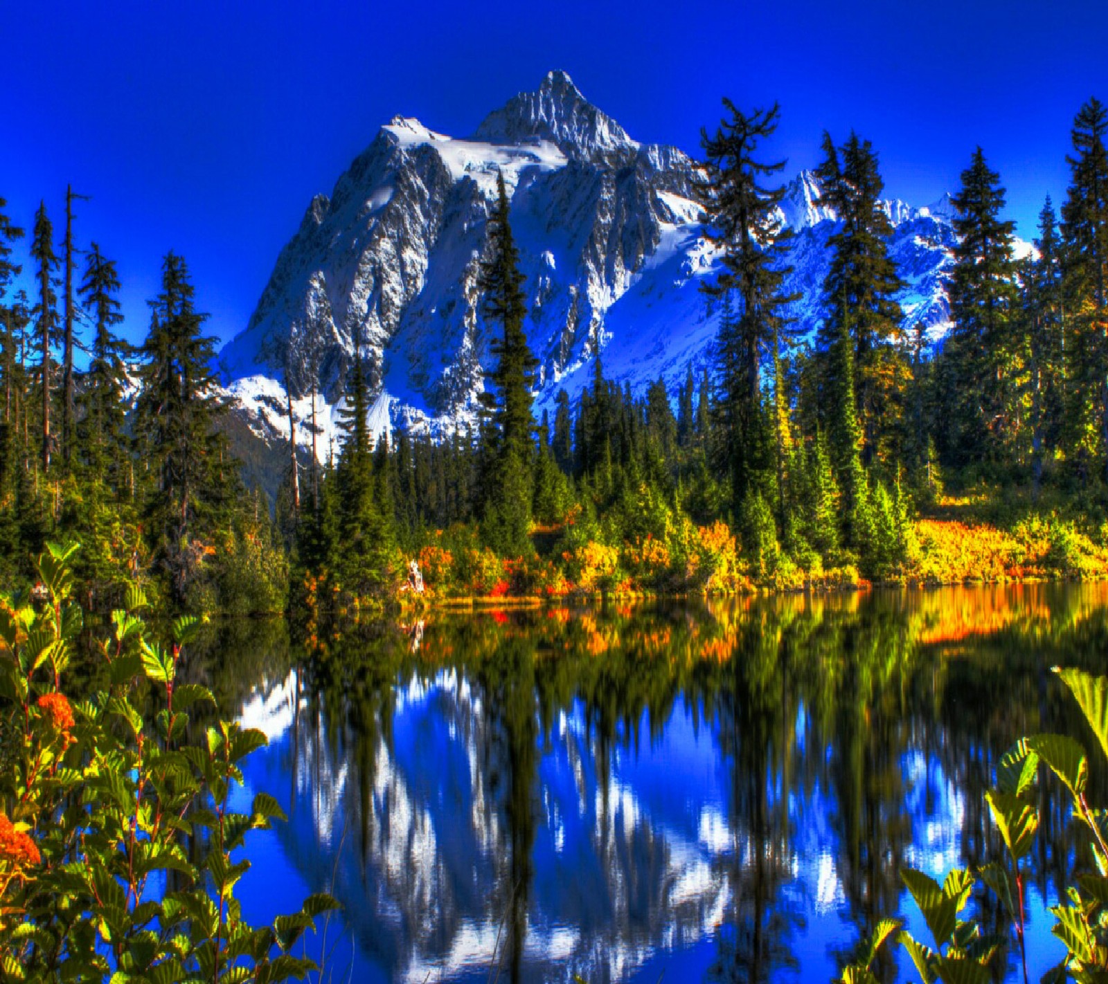 Uma montanha refletida em um lago cercado por árvores (flores, jardim, natureza, legal, papéis de parede)