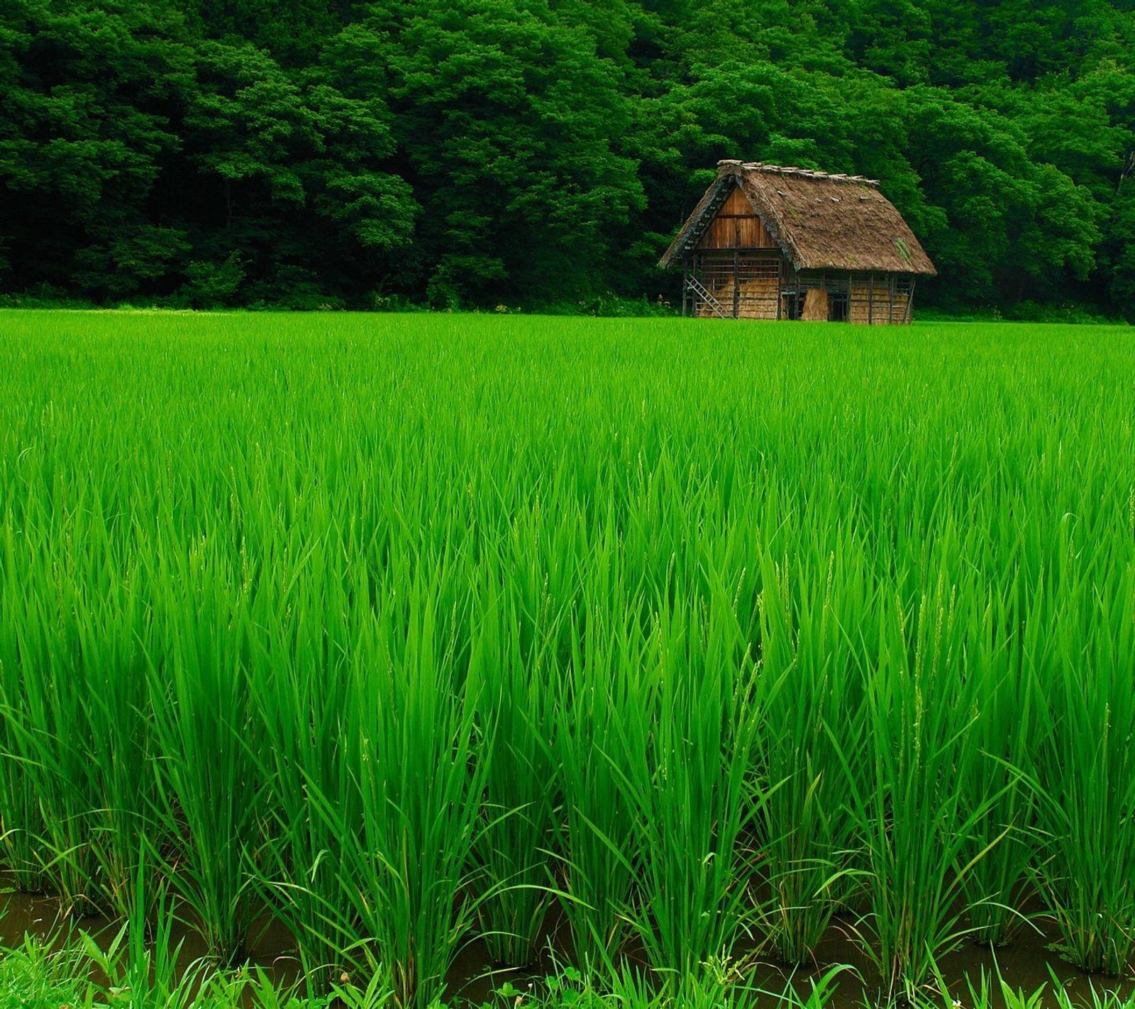 Lade landschaft, romantisch Hintergrund herunter