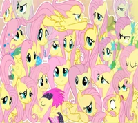 fluttershy, my little pony wallpaper