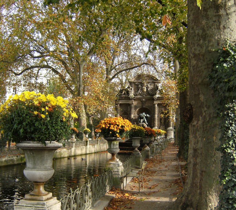 Деревья и цветы вдоль дорожки парка с фонтаном (цветы, luxembourg gardens, париж, paris, деревья)