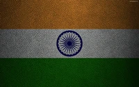 Representación texturizada de la bandera india sobre un fondo de cuero.