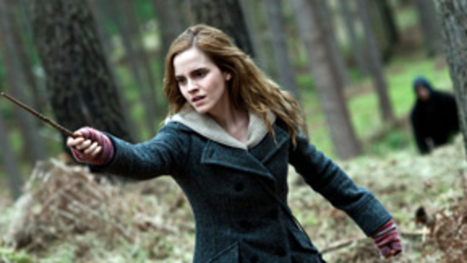 Descargar fondo de pantalla hermione granger, harry potter, ron weasley, árbol, bosque