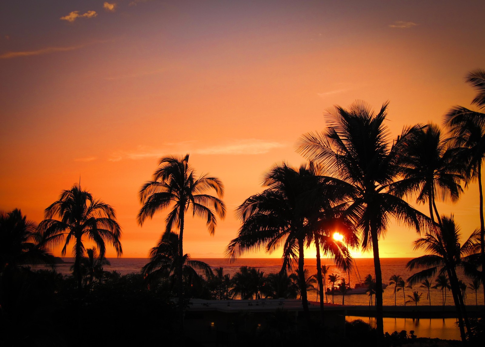 Uma vista de um pôr do sol com palmeiras e uma praia (por do sol, árvore, palmeira, anoitecer, nascer do sol)