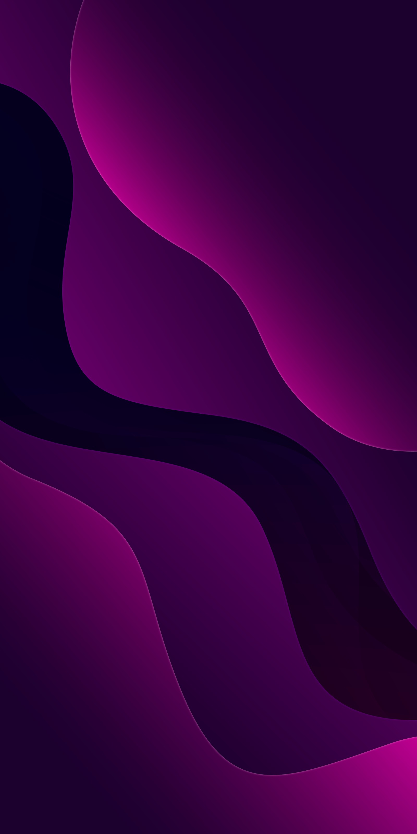 Purple abstract wallpaper with curved shapes and a dark background (plant, purple, violet, art, grey)