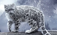 Snow Leopard in a Snowy Mountain Landscape