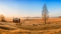 Matin serein sur un paysage de prairie rurale