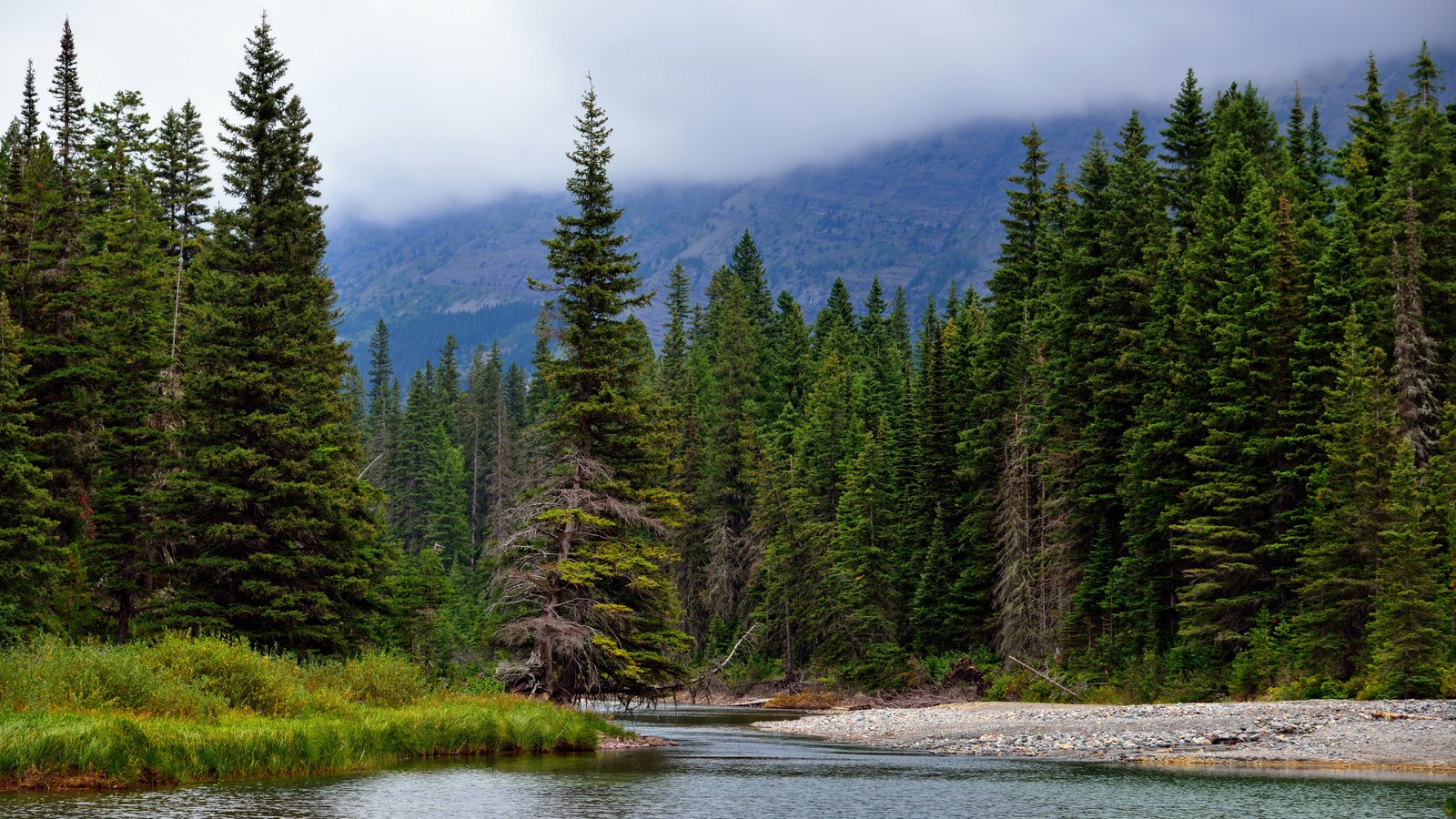 Trees are growing along the bank of a river in the mountains (ecosystem, sky, tree, desert, forest)