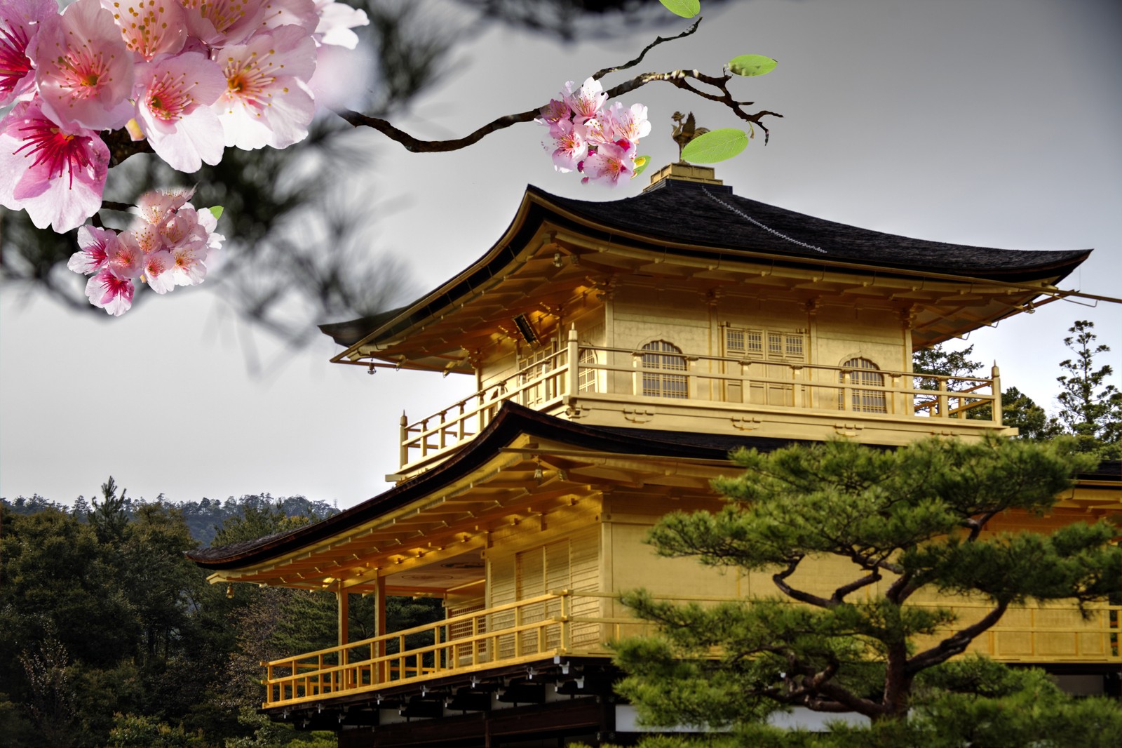 Es gibt ein großes gebäude mit einem gelben dach und einem baum (blume, japanische architektur, tempel, baum, pagode)