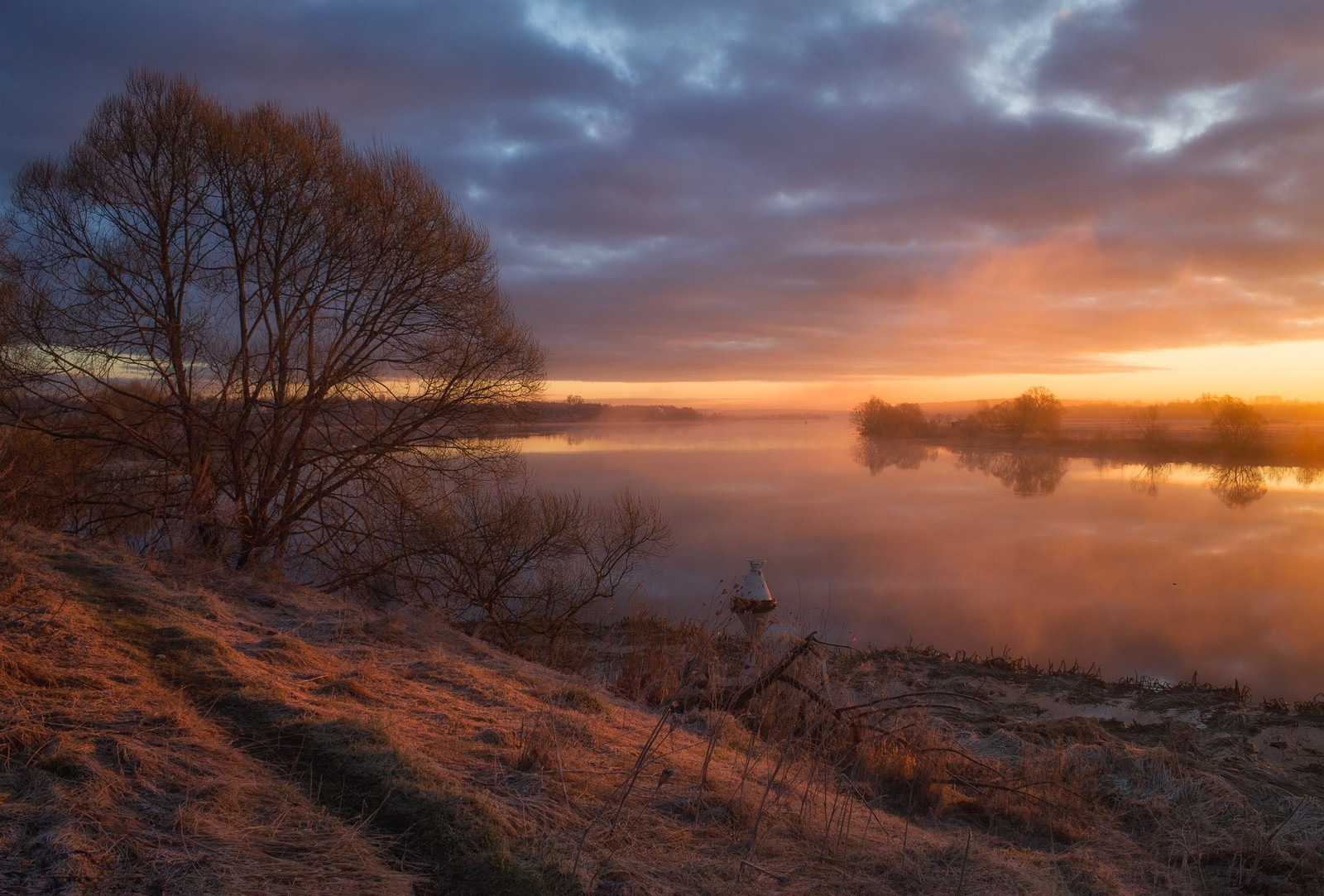 Une vue d'un lac avec quelques arbres et quelques nuages (coucher de soleil, eau, matin, réflexion, lever de soleil)