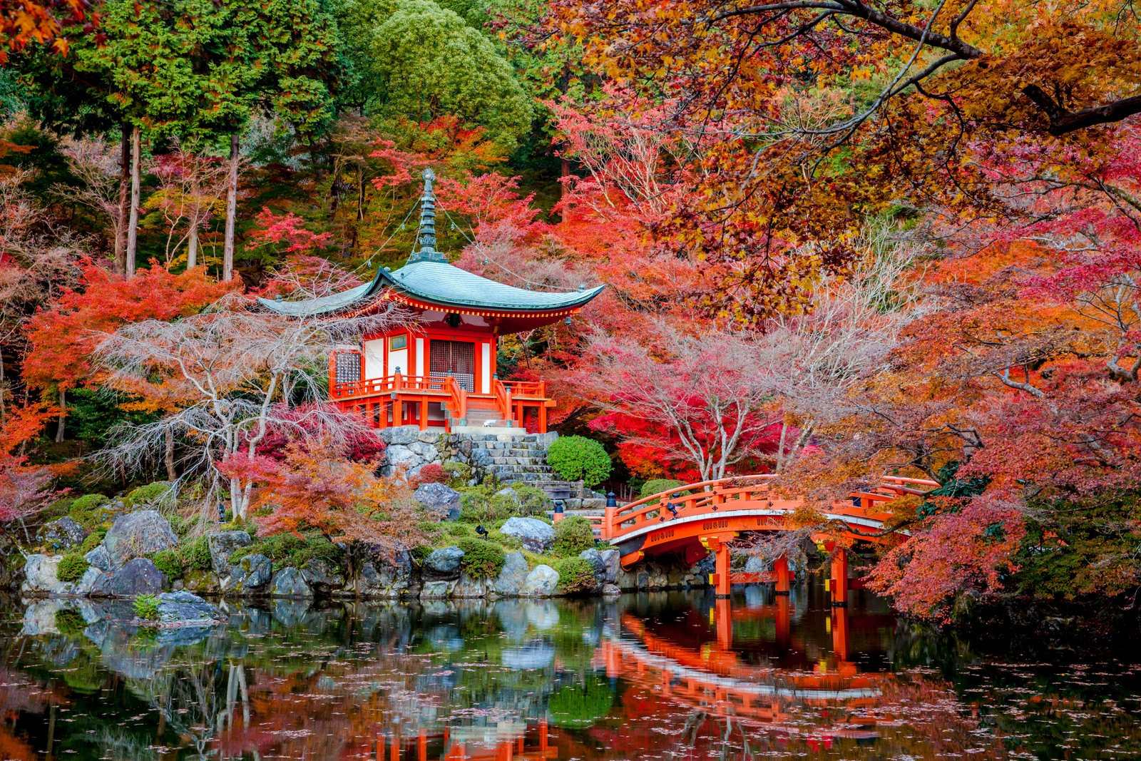 Una pagoda roja se encuentra en una pequeña isla en medio de un estanque (otoño, árbol, naturaleza, hoja, hoja de arce)