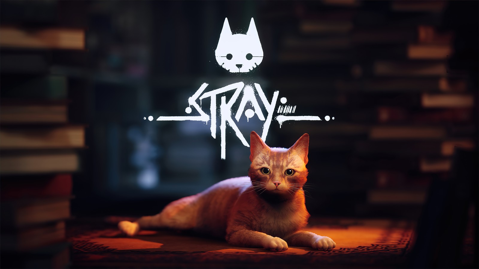 Nahaufnahme einer katze, die auf einem tisch mit einem neonzeichen liegt (stray spiel, videospiel)