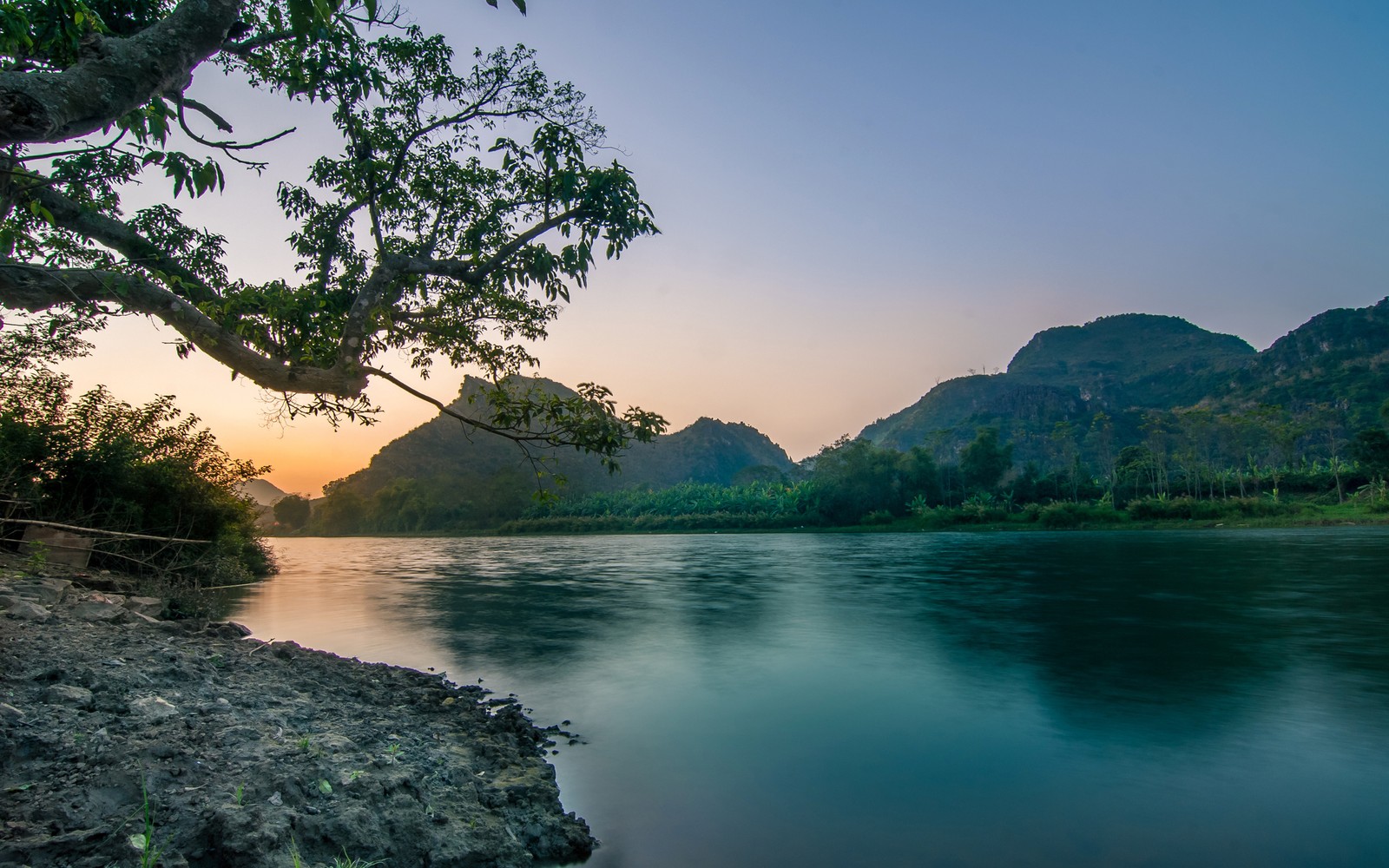 Una vista de un río con un árbol y montañas de fondo (naturaleza, cuerpo de agua, recursos hídricos, agua, rio)