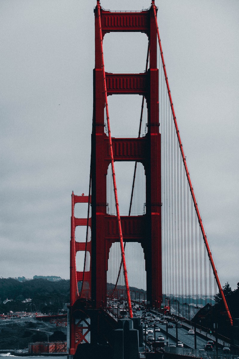 Арабский вид на мост с машинами, едущими по нему (мост золотые ворота, golden gate bridge, мост, подвесной мост, достопримечательность)