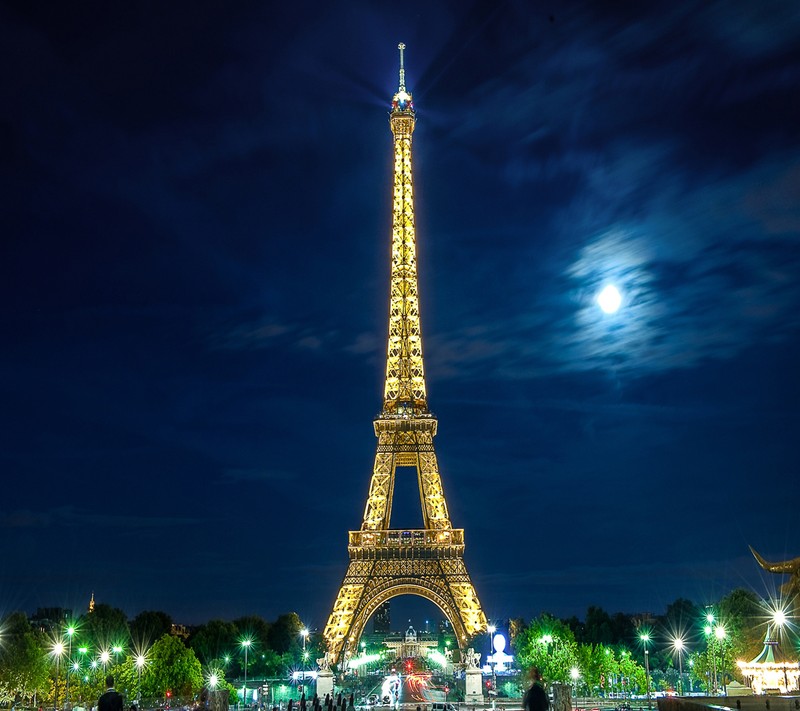 Жирафы прогуливаются в парке возле эйфелевой башни (eiffeltower by night, париж, paris)