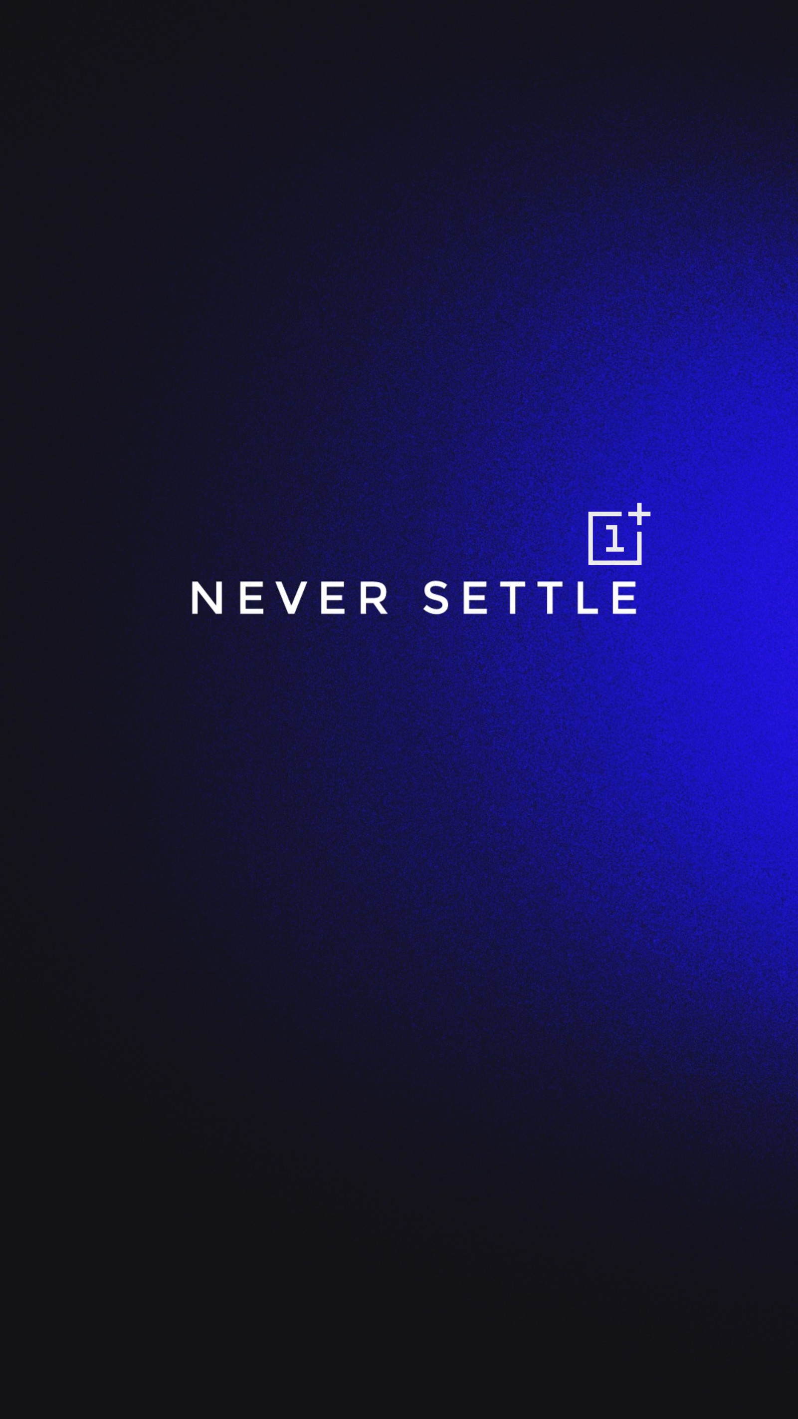 There is a blue neon sign that says never settle (anime, black)